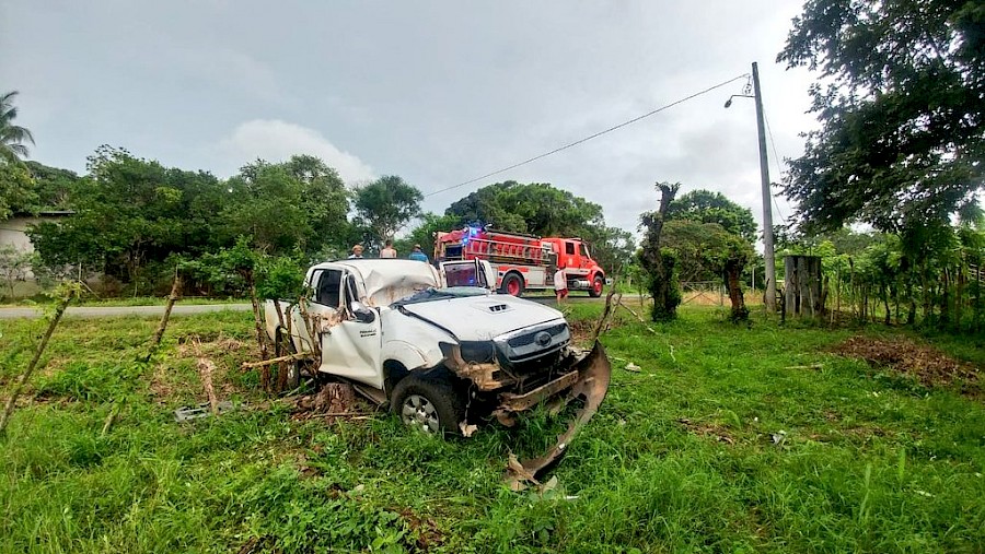 Un herido luego de que árbol cayera sobre su auto