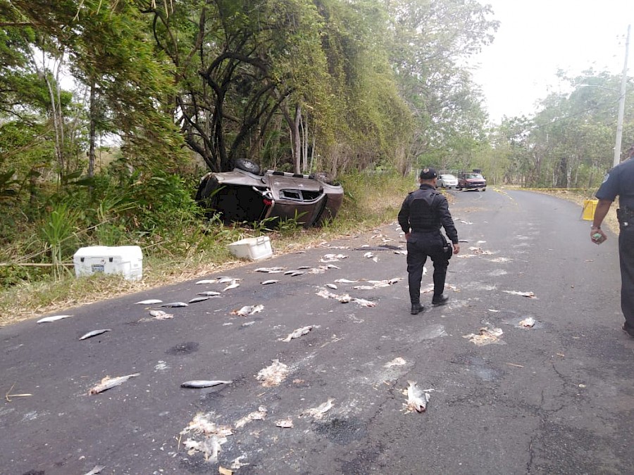 Policía es atropellado en Chepo durante acción  policial