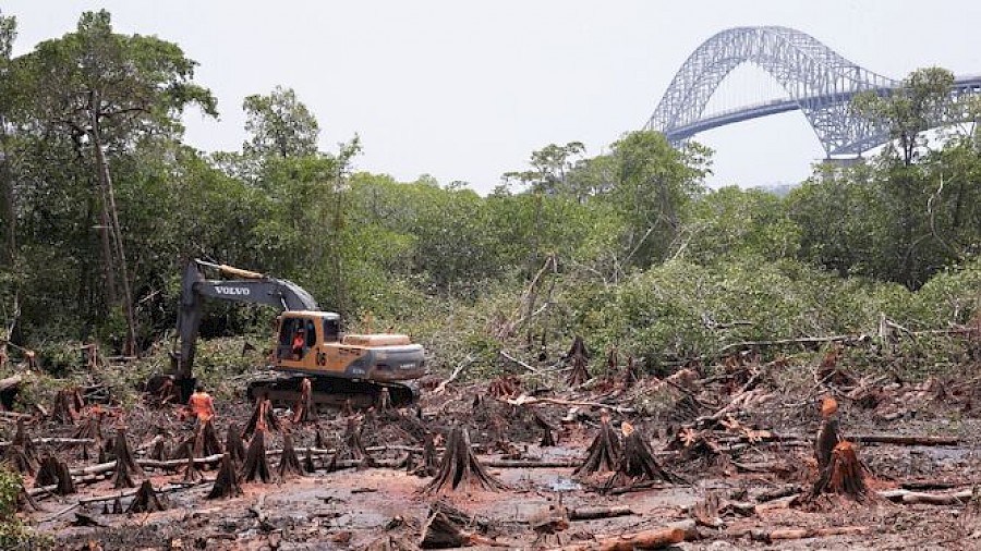 Este año no iniciará la construcción del cuarto puente