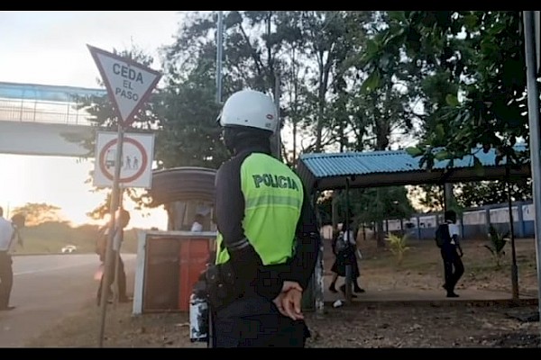 DNOT: 30 muertes por atropello en lo que va del año
