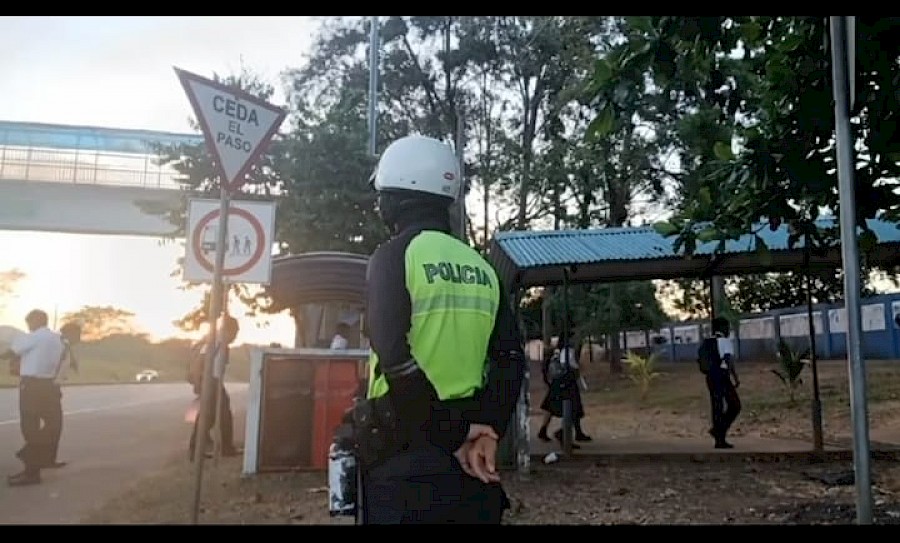 DNOT: 30 muertes por atropello en lo que va del año